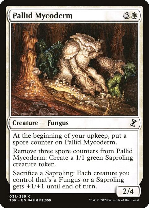 31-pallidmycoderm