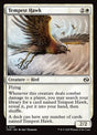 31-tempesthawk