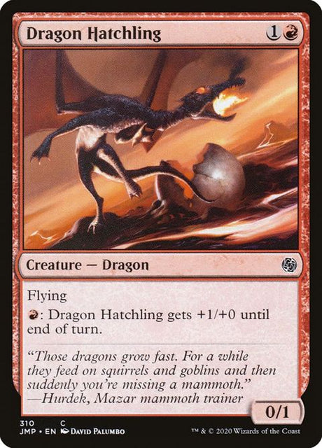 310-dragonhatchling