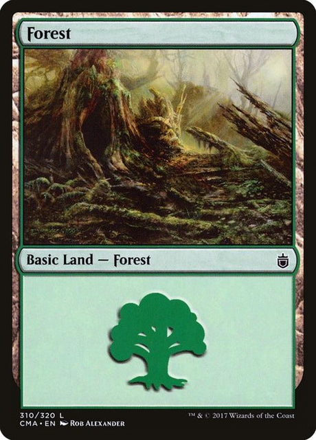 310-forest