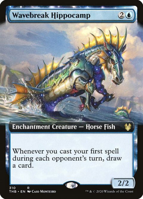 310-wavebreakhippocamp