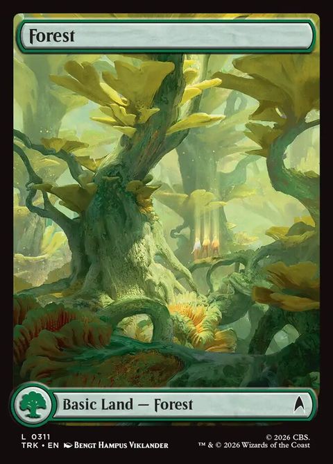 311-forest