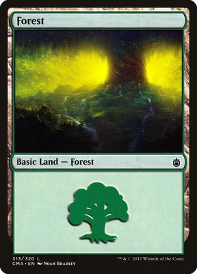 313-forest