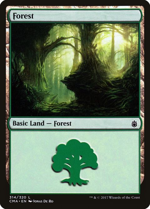 314-forest