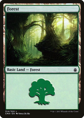 314-forest