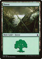 315-forest