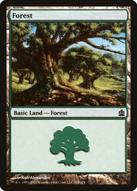 315-forest