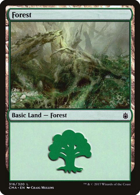 316-forest