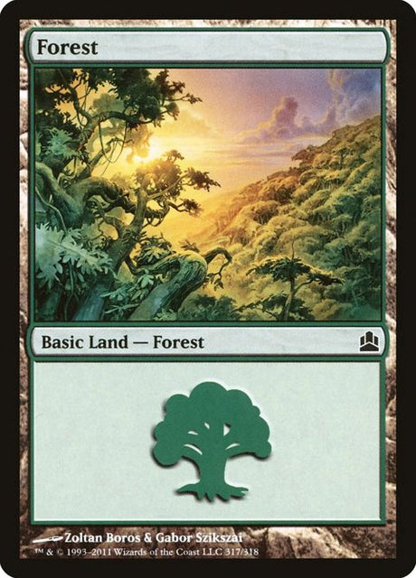 317-forest