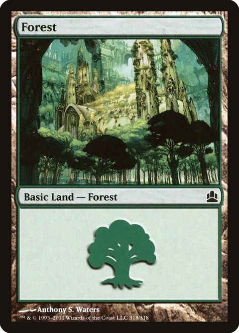 318-forest