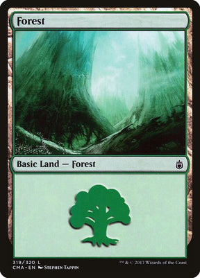 319-forest