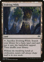 32-evolvingwilds
