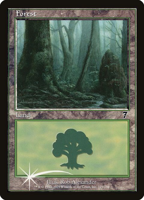 329-forest
