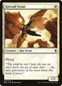 33-kitesailscout