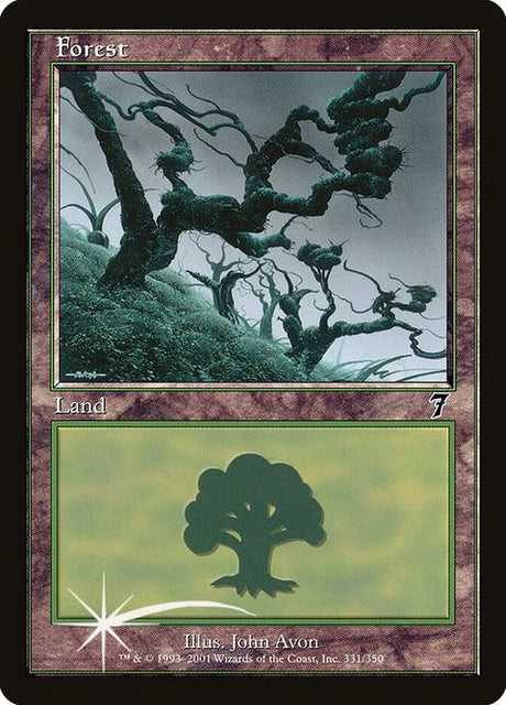 331-forest