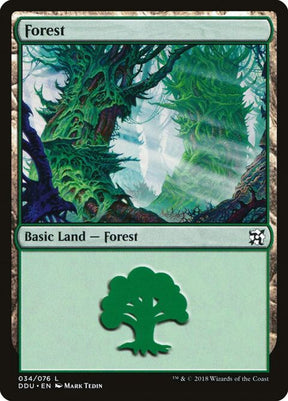 34-forest