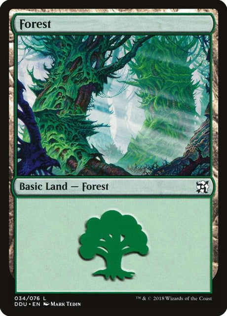 34-forest