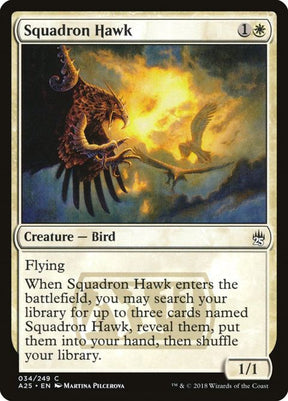 34-squadronhawk