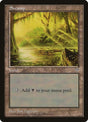 341-swamp