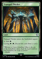 341-tranquilthicket