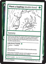 344-plantasaplingfullygrowntreefolk-a