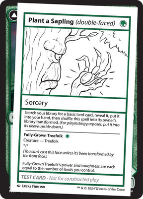 344-plantasaplingfullygrowntreefolk-a