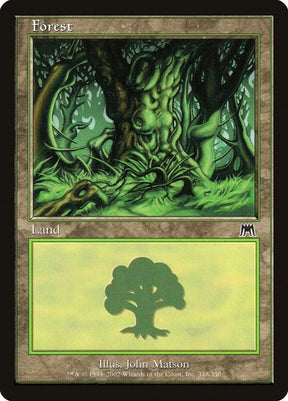 348-forest