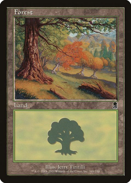 349-forest