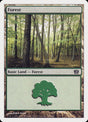 349-forest