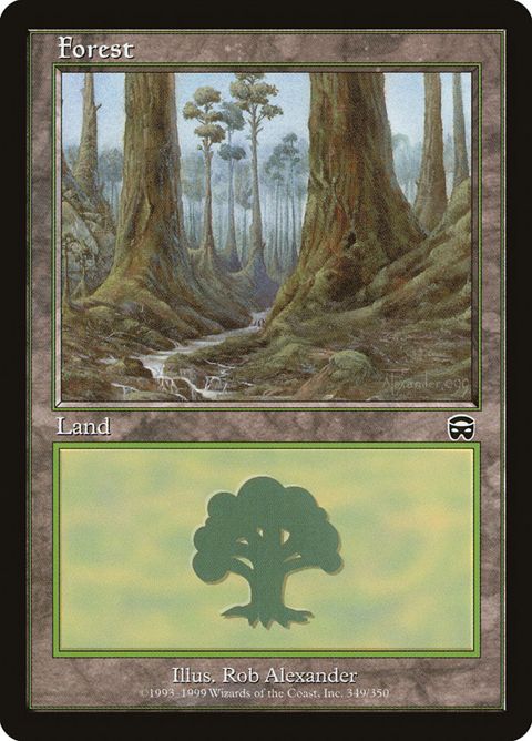 349-forest
