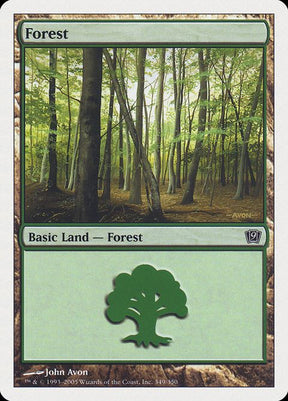 349-forest