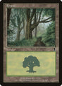 350-forest