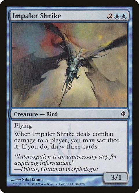36-impalershrike
