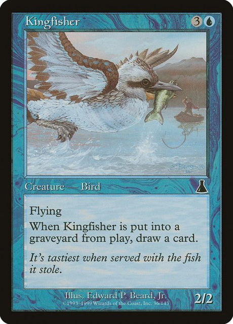 36-kingfisher