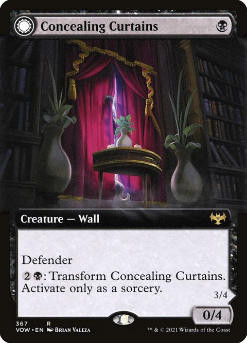 367-concealingcurtainsrevealingeye-a
