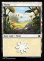 369-plains