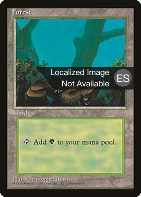 376-forest