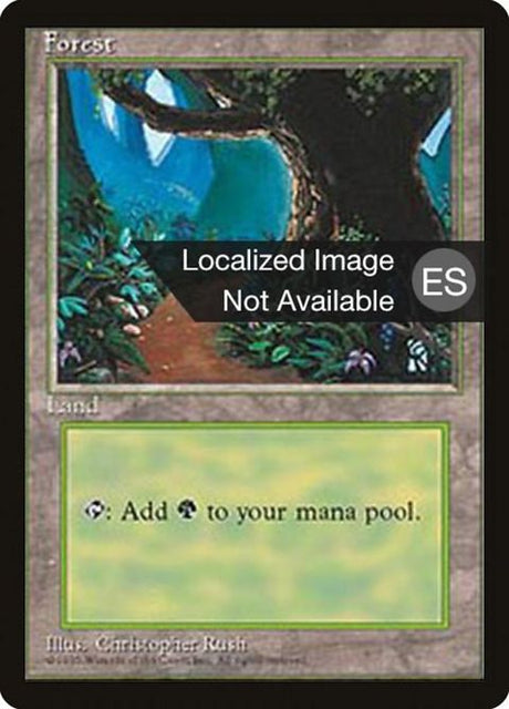 377-forest