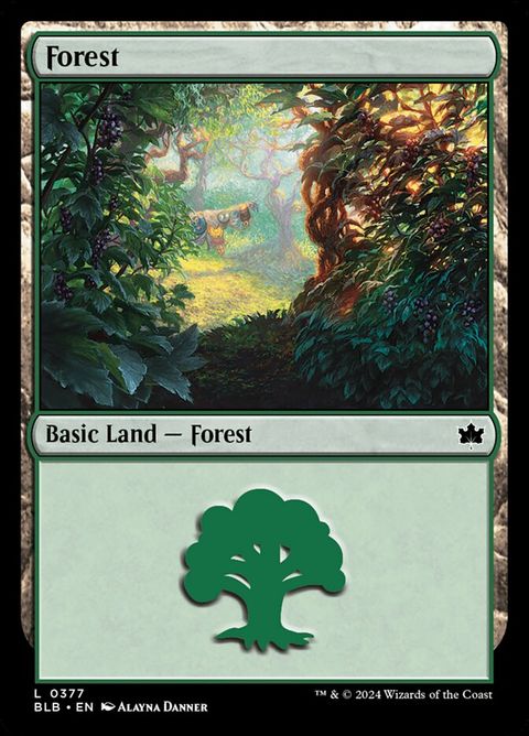 377-forest