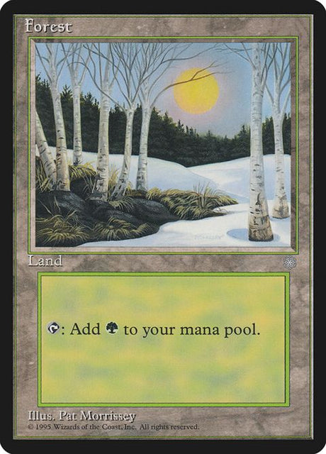 380-forest