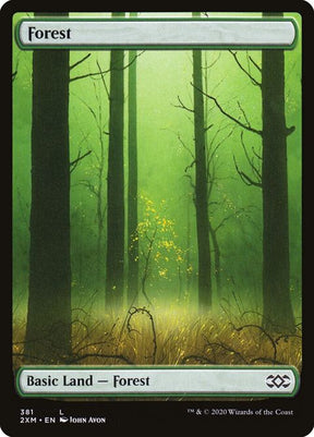381-forest