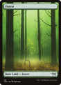 381-forest