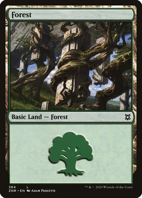 384-forest
