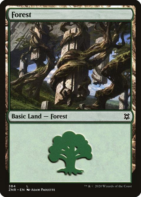 384-forest