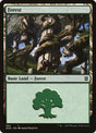 384-forest