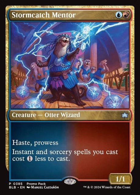 385-stormcatchmentor