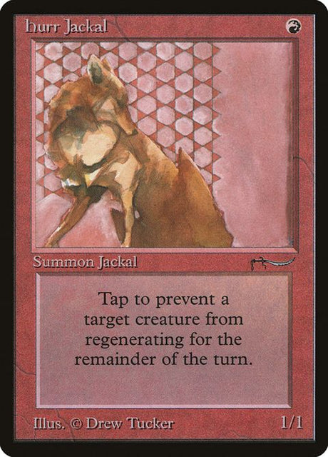 39-hurrjackal