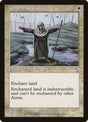 4-consecrateland