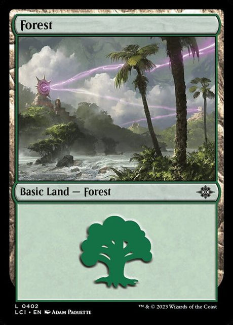 402-forest