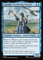41-gandalfwanderingwizard